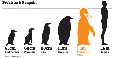 prehistoricpenguin