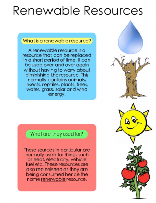 Renewable resources Dinvil Nieves