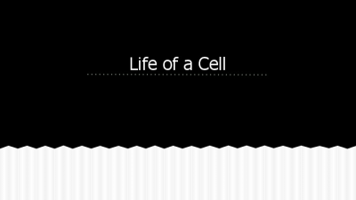 Life of a Cell