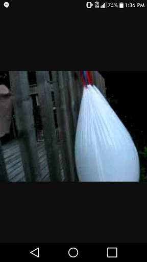 Brandons Trash