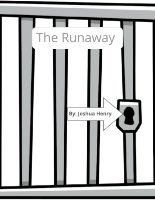 G10 Emulation Handbook Template