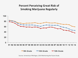 This graph shows the younger you are the more dangerous and susceptible you are to falling into drug abuse thus damaging your brain. This also shows dependence of the drug, even when it may not be needed.