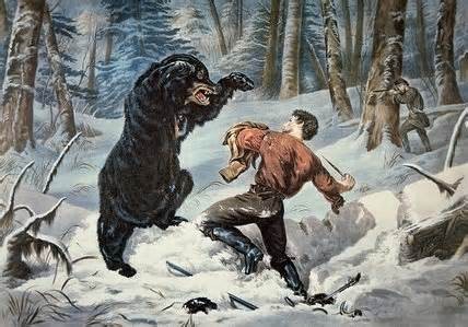 Bear Attack