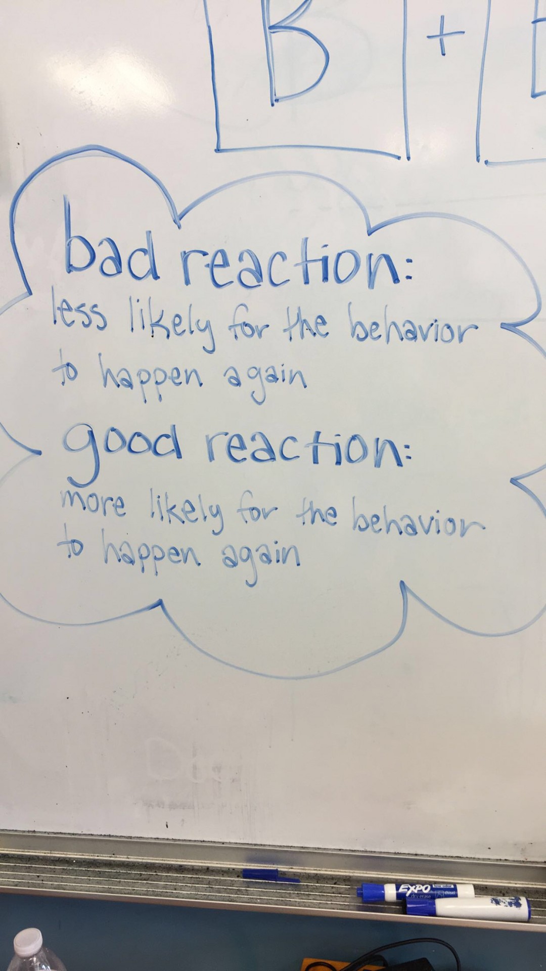This was from one of my favorite lessons that I taught about behavioral reactions.