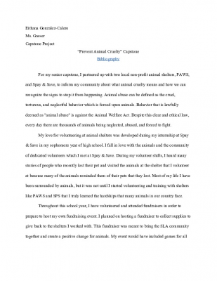 FINAL CAPSTONE PAPER_ GONZALEZ-CALERO