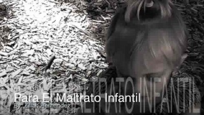 El Bola Pojecto_ Maltrato Infantil