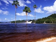 canaima-national-park_6433_600x450