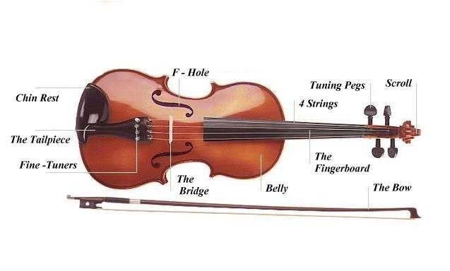 violin